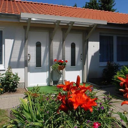 Hotel Brauner Hirsch Bad Harzburg Εξωτερικό φωτογραφία